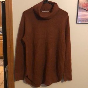 Rust turtle neck sweater